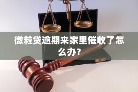 庆阳融资清欠服务